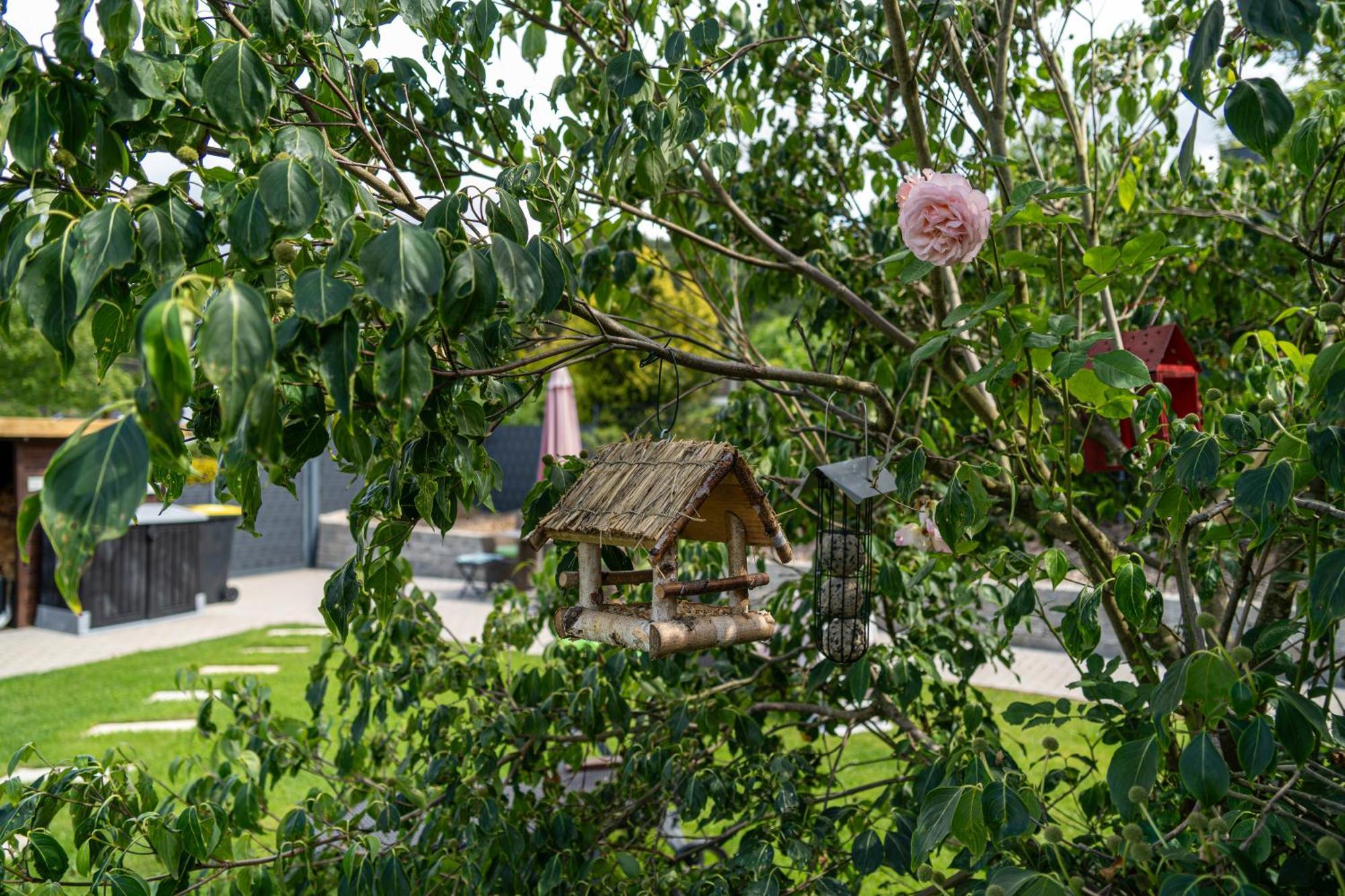 Wolke Siegen Apartment ภายนอก รูปภาพ